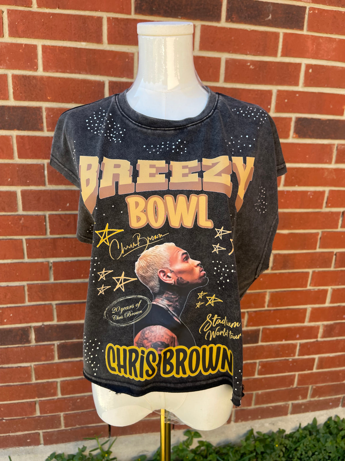 BREZZY BOWL BOXY CROP TOP SHIRT